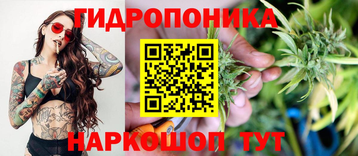 Конопля White Widow  Конопля индика  Фурманов  Вход с VPN  Марихуана MAZAR 